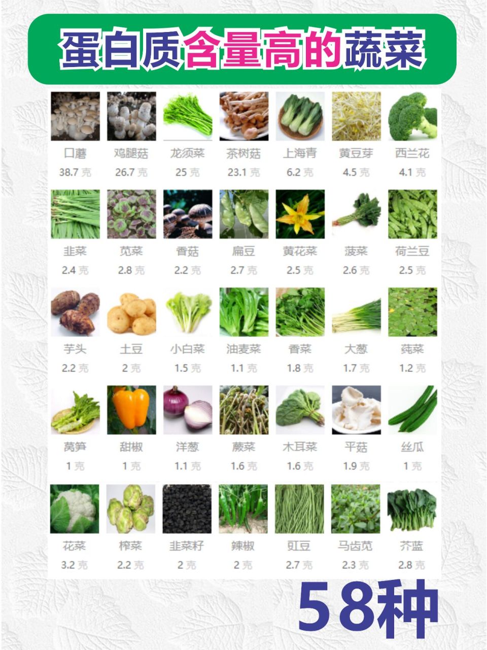 《第四十六章》蛋白质含量高的食物第一缉:蔬菜 蛋白质的三大基础生理