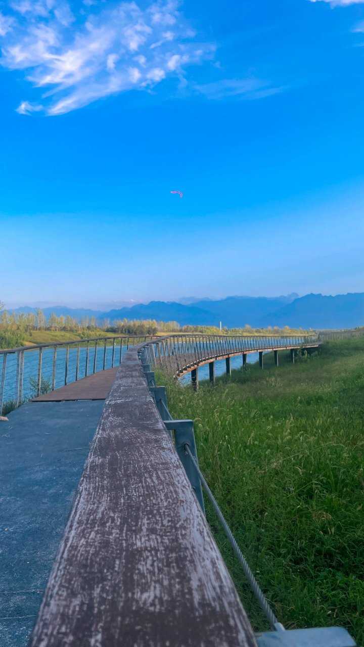 来我家乡玩一天|沣河梁家滩湿地公园 一到秋天,这个湿地公园就成了
