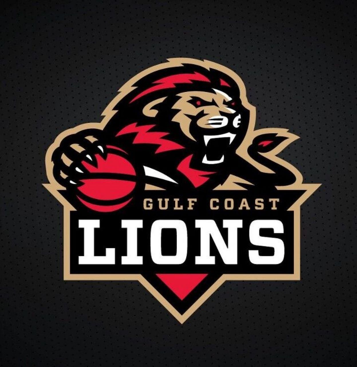 篮球球队logo设计 球队logo设计欣赏