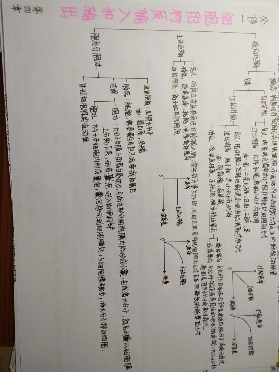 生物必修一第四章导图图片