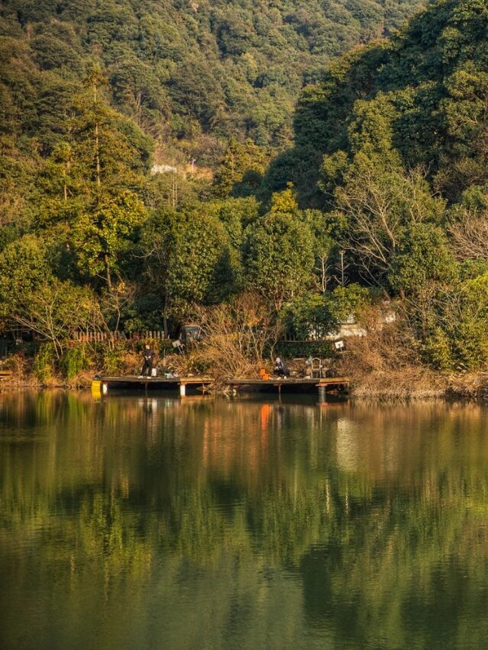杭州转塘|西湖景区附近的原生态野钓 91岁末年初,正是鲫鱼上口的