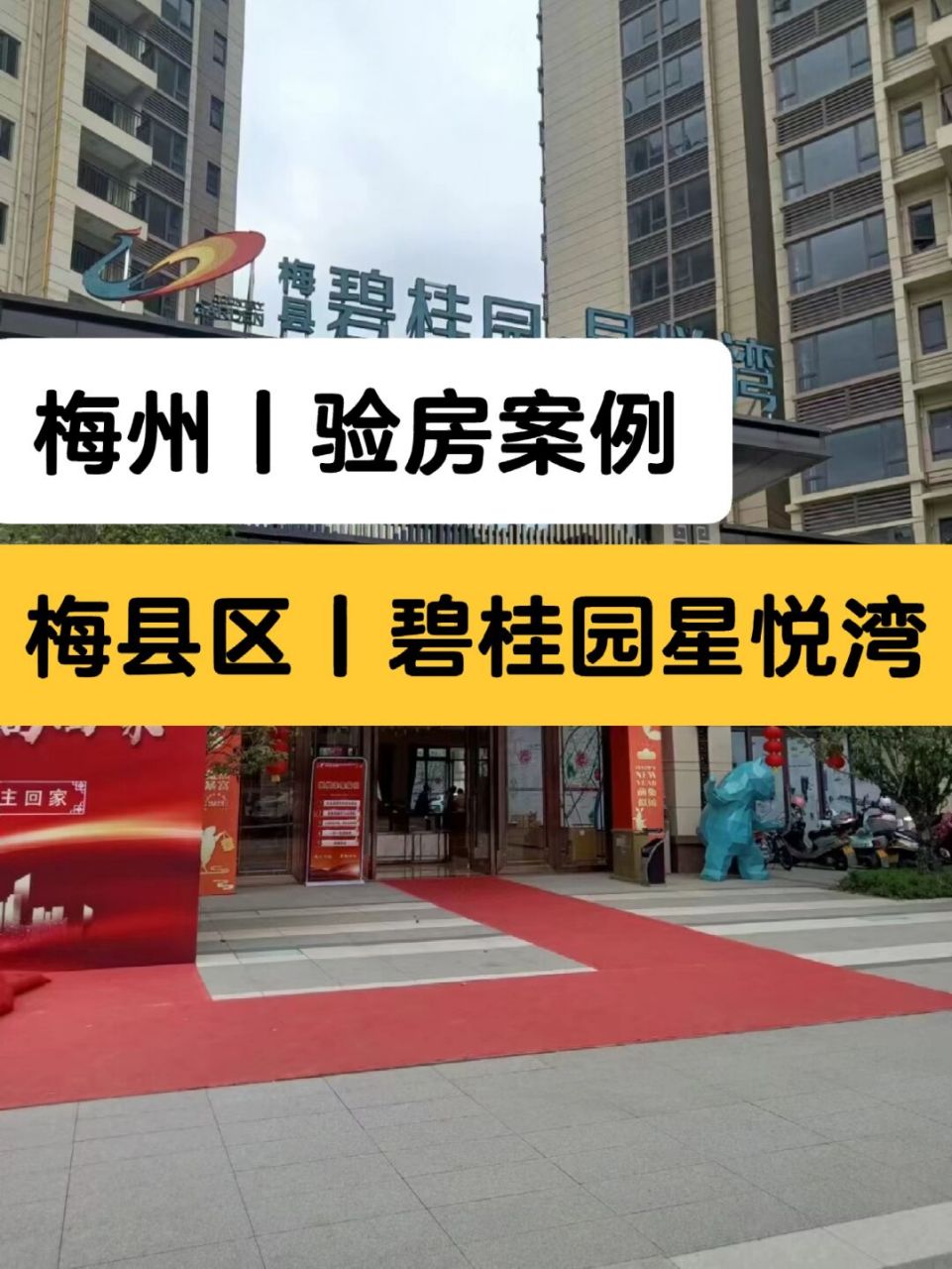 梅州碧桂园星悦湾验房师验收楼 广东省-梅州市-梅县区-碧桂园星悦湾