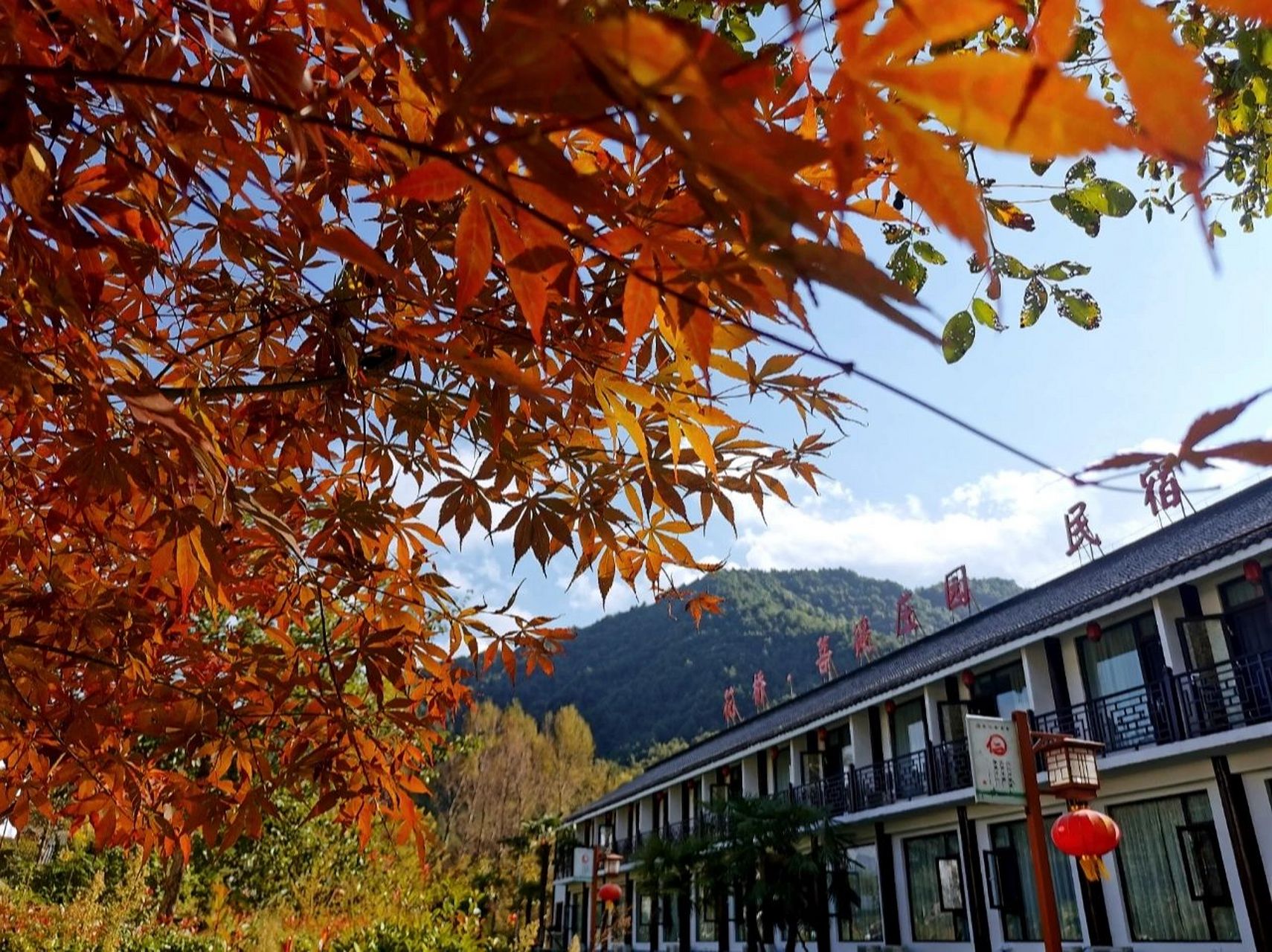 兰州-陇南四日游 ①花桥村,中国最美乡村50强,特别提醒去看看1300