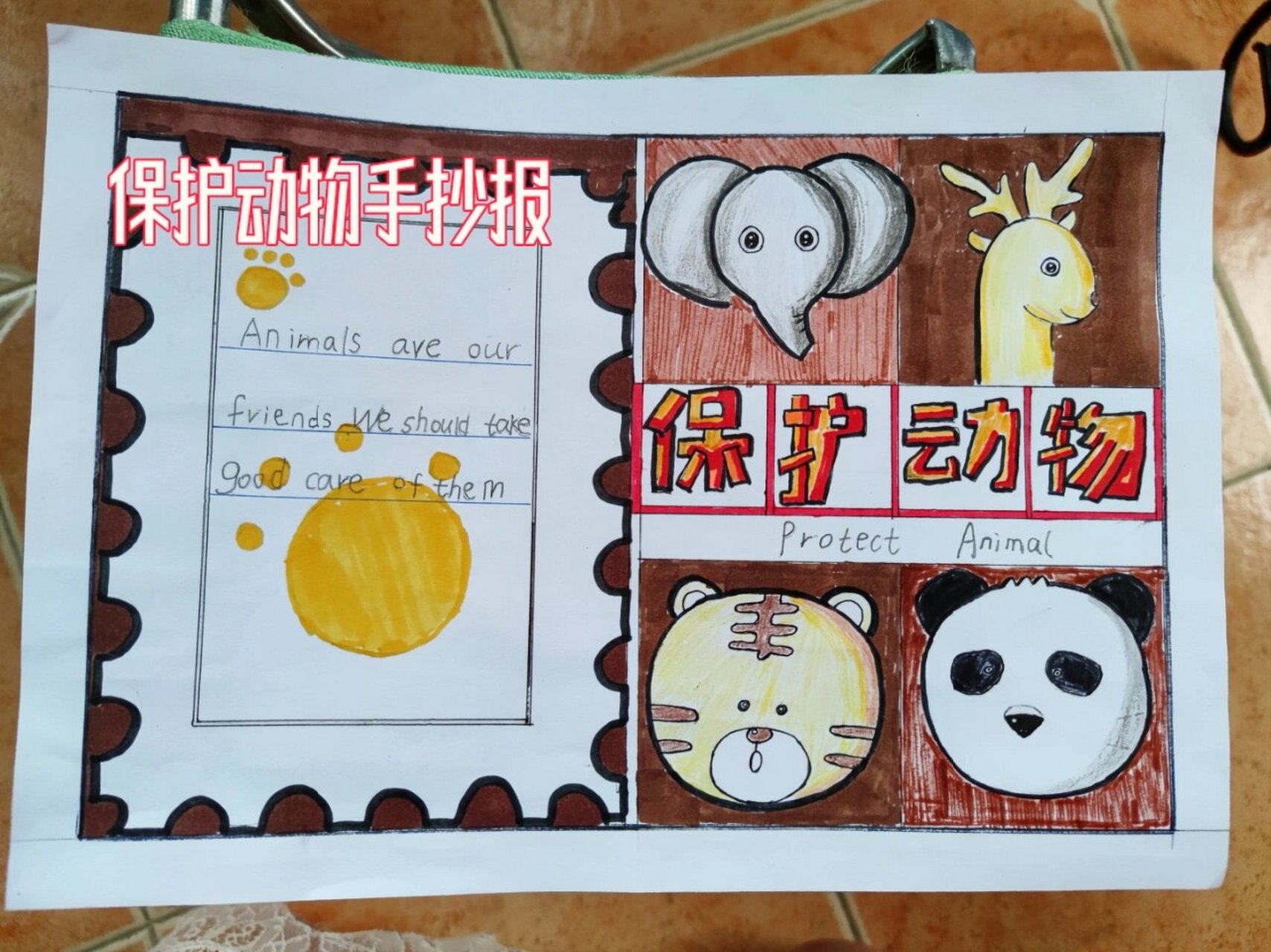 保护动物手抄报