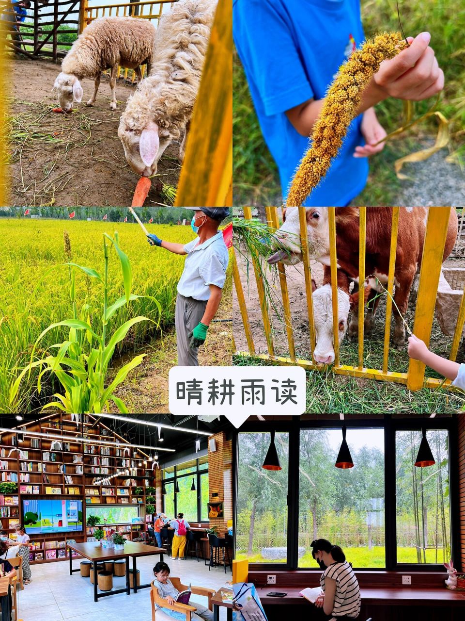 温榆河公园新开园区7515免费又大,遛娃太香了 没想到温榆河公园