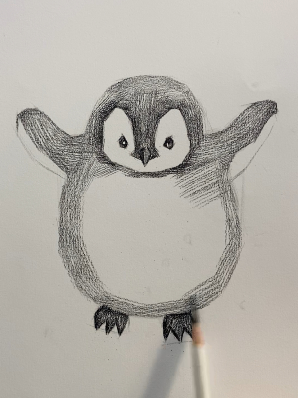 马达加斯加企鹅素描图片