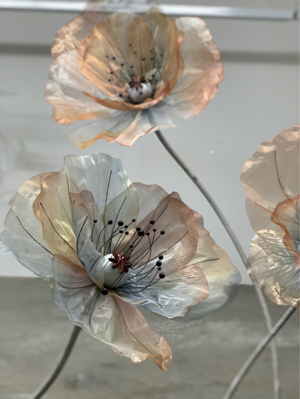 罂粟花太美了7515 #手工