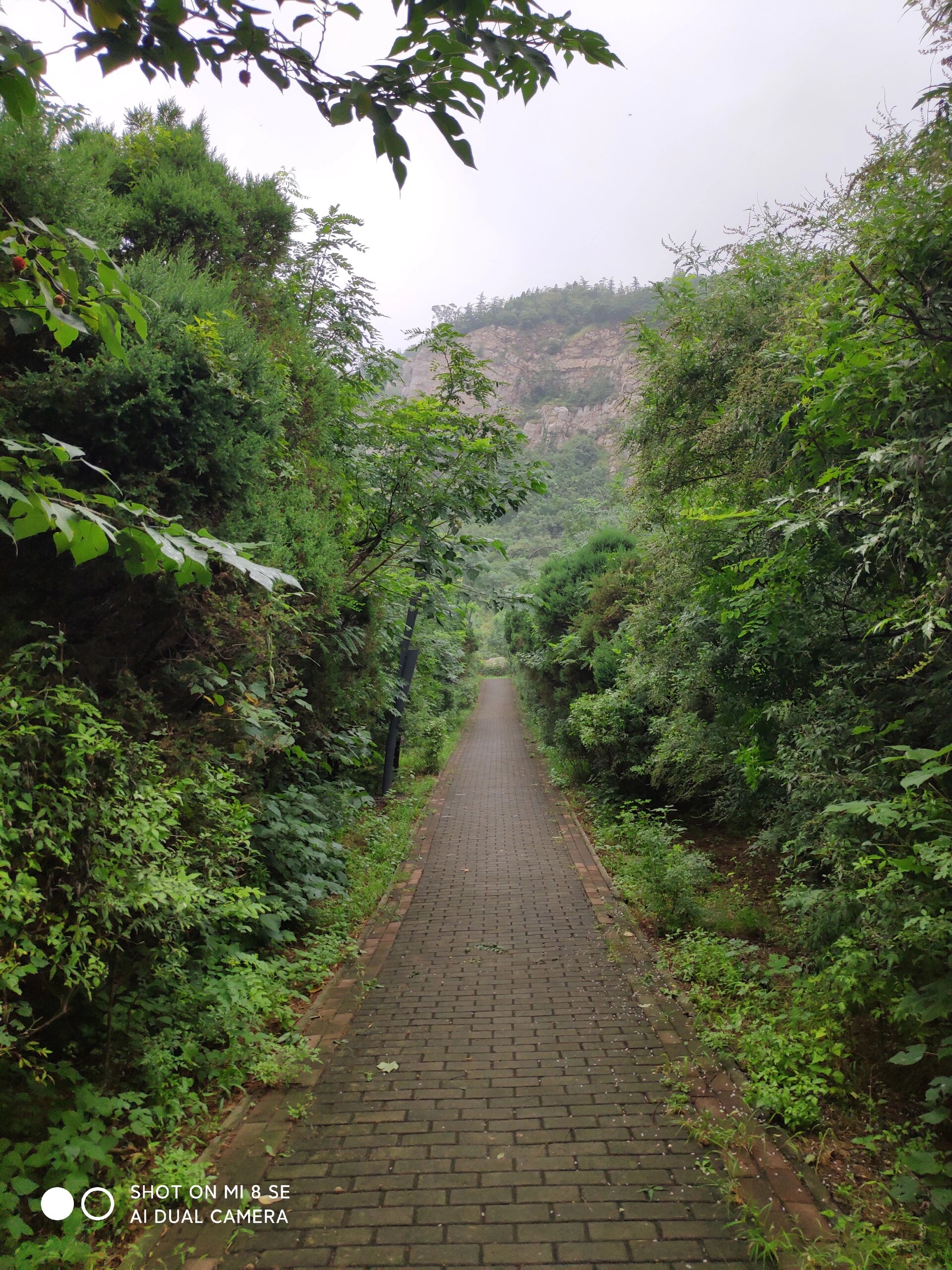 [太行]缝山针公园 跑进山野 太行缝山针公园山顶,林荫山道,翠绿之中