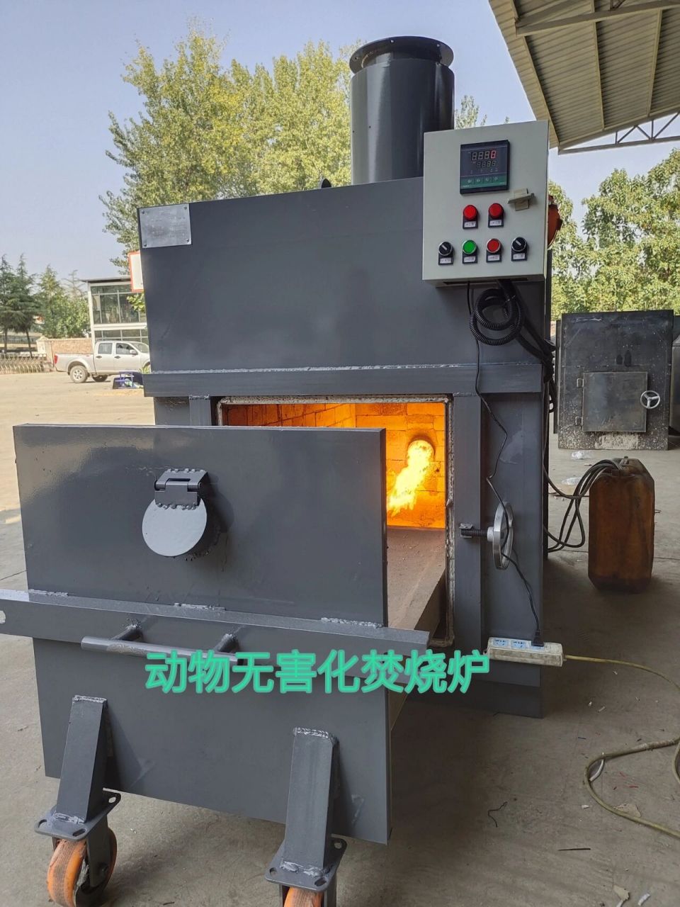 宠物殡葬专用焚烧炉,动物无害化设备焚烧炉