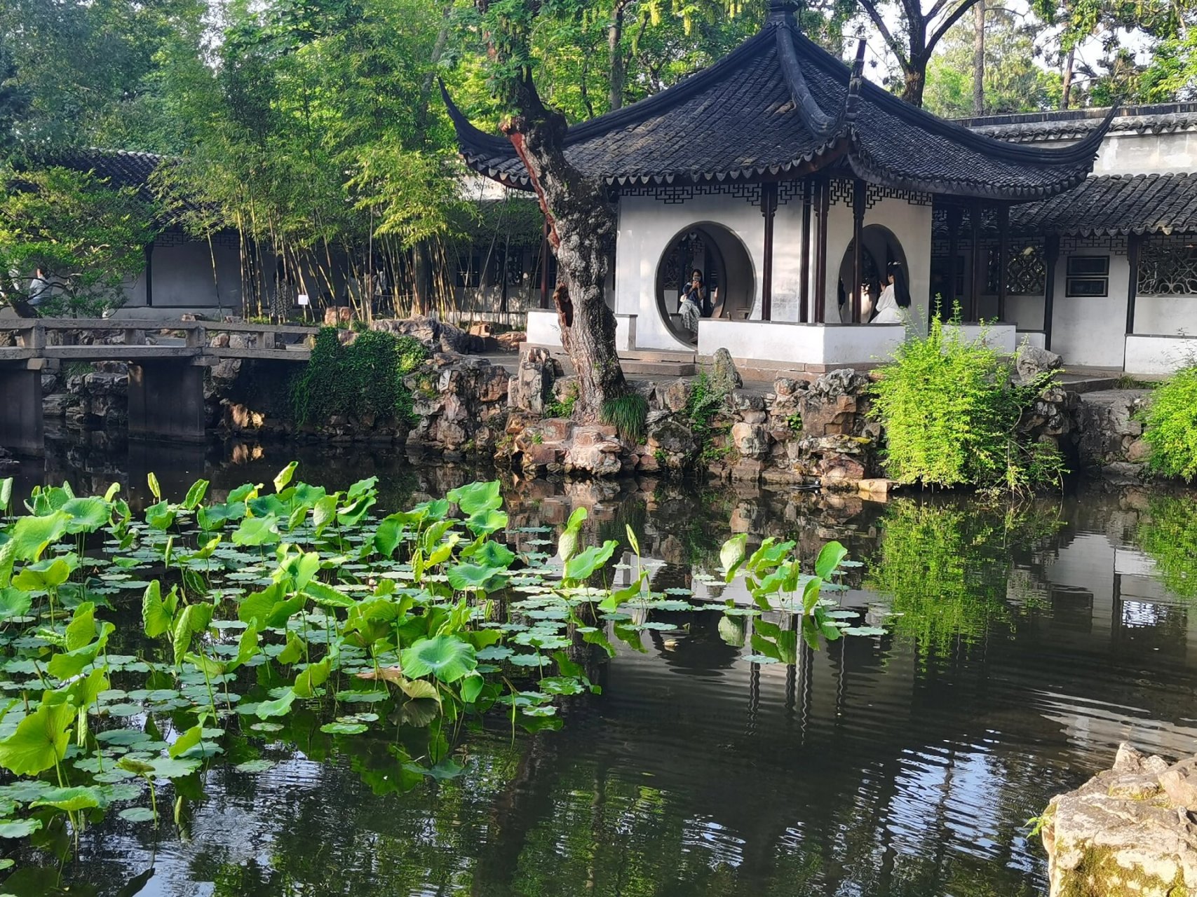 拙政园讲解 上有天堂下有苏杭,拙政园作为四大名园之首成为了很多游客