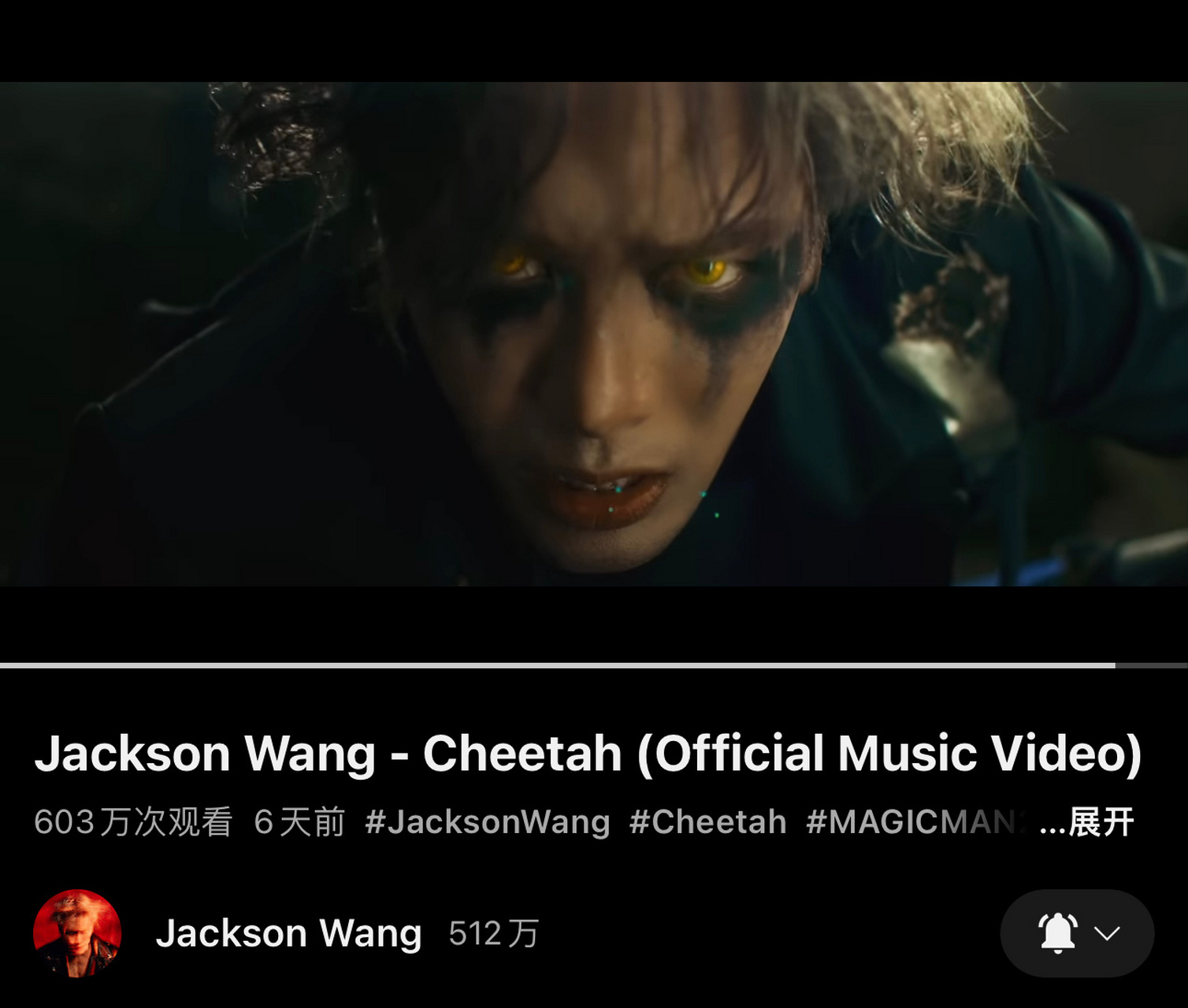 u管94更新 @王嘉尔   《cheetah》油管播放量突破600万90 王歌手