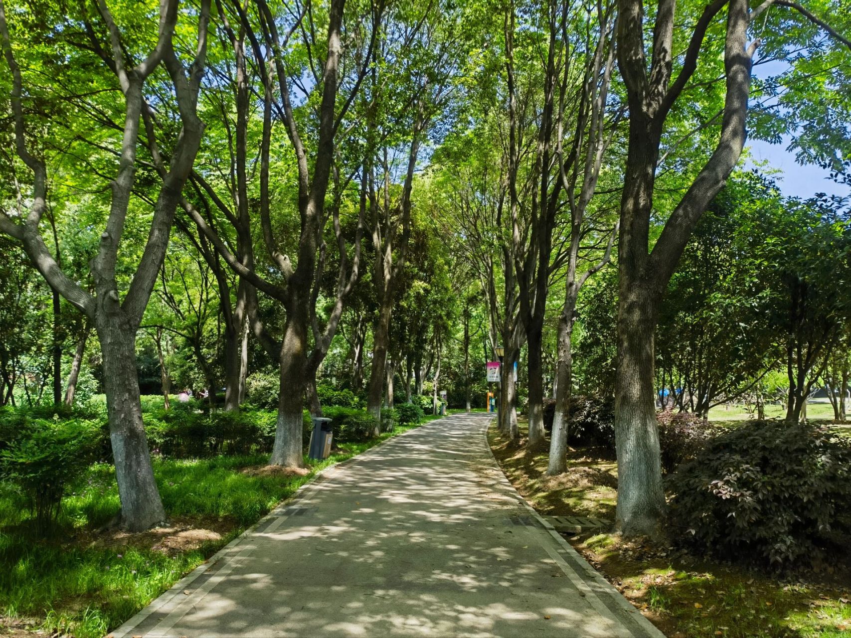 汤湖公园:武汉沌口的休闲好去处 公园位于武汉经济技术开发区(沌口)内