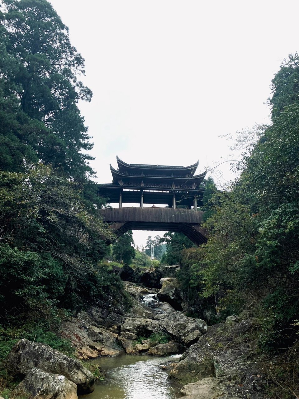 浙江超小众旅游地推荐-丽水景宁云中大漈 景点:云中大漈 位置:浙江省