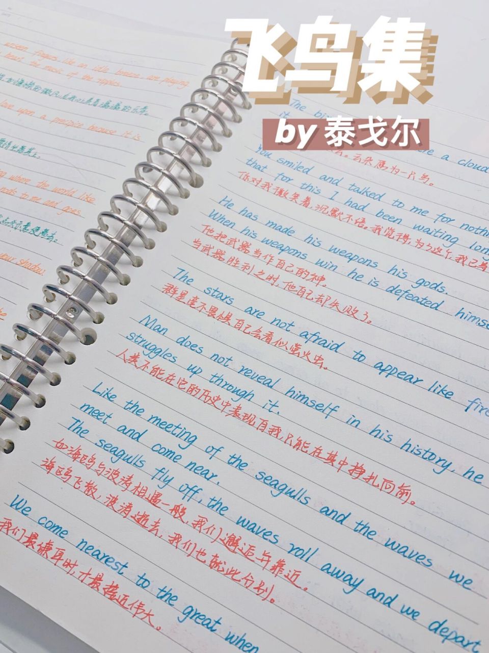 作文素材|泰戈尔《飞鸟集》中英双语摘抄 95if you shed tears when