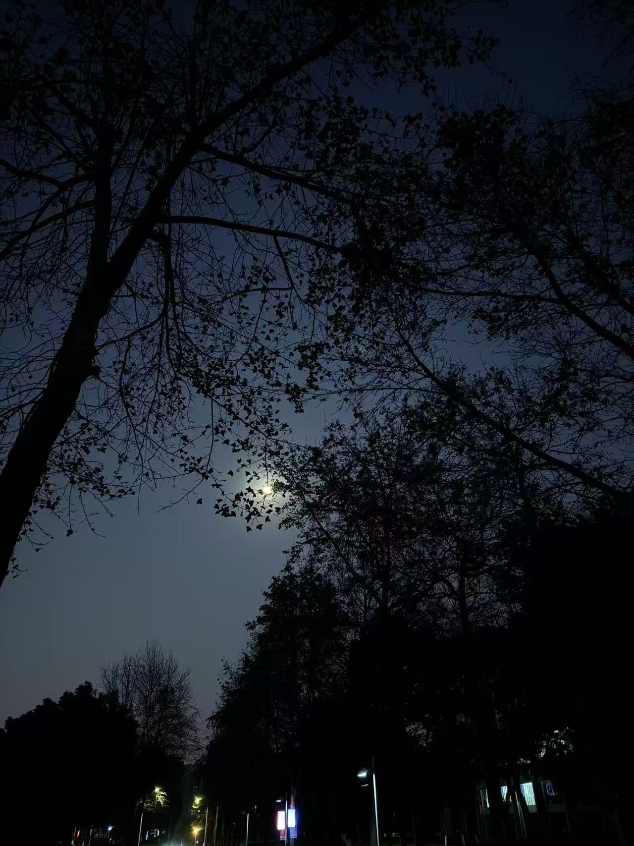 金华职业技术大学超话#金职随手拍#