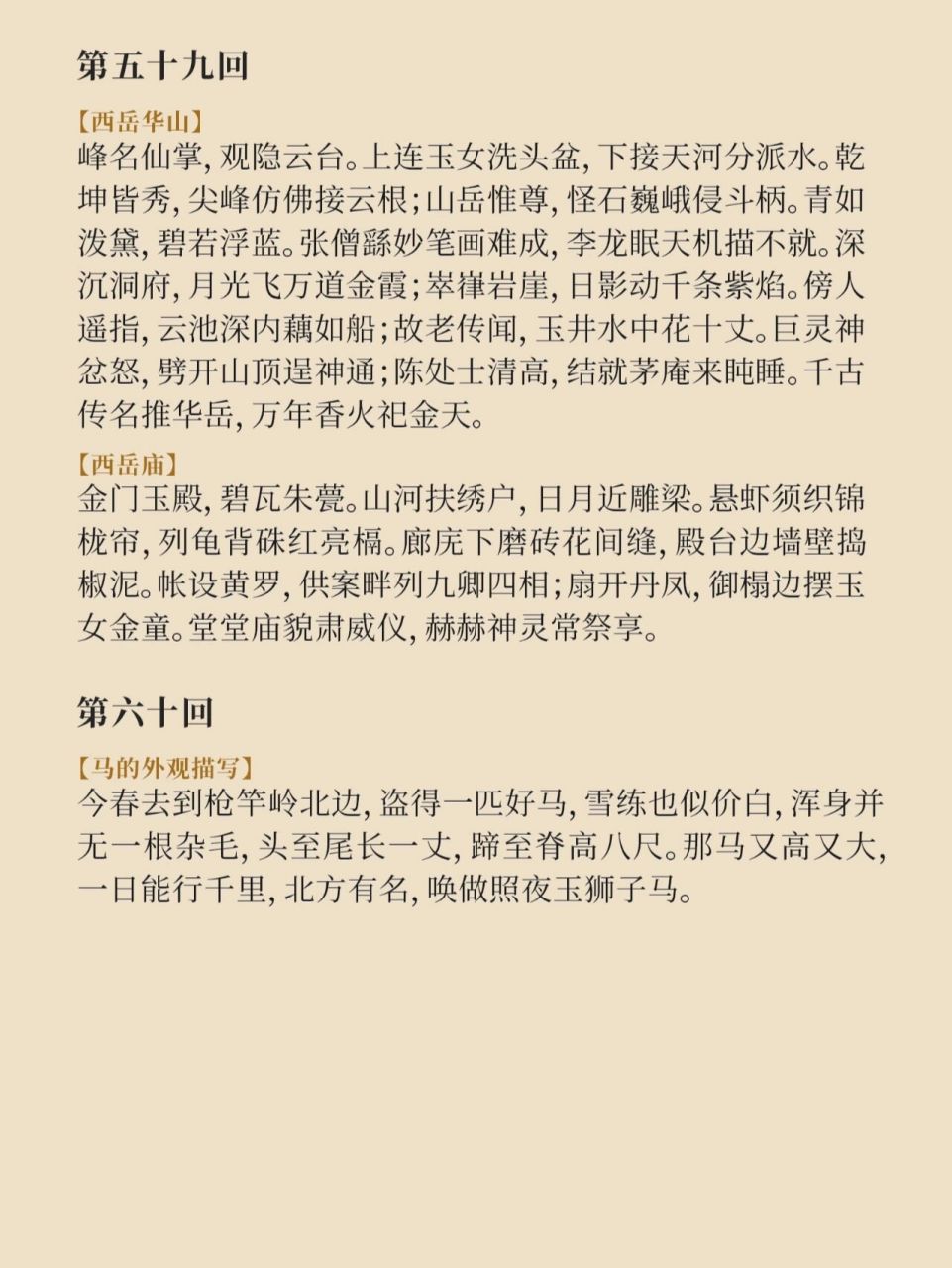 徐宁性格特征图片