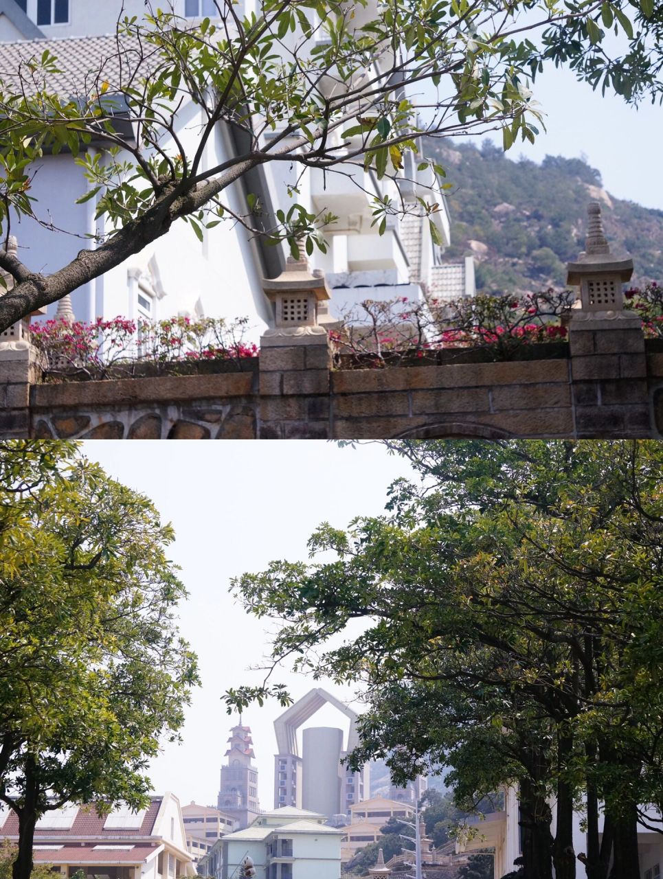 龙海普照禅寺图片