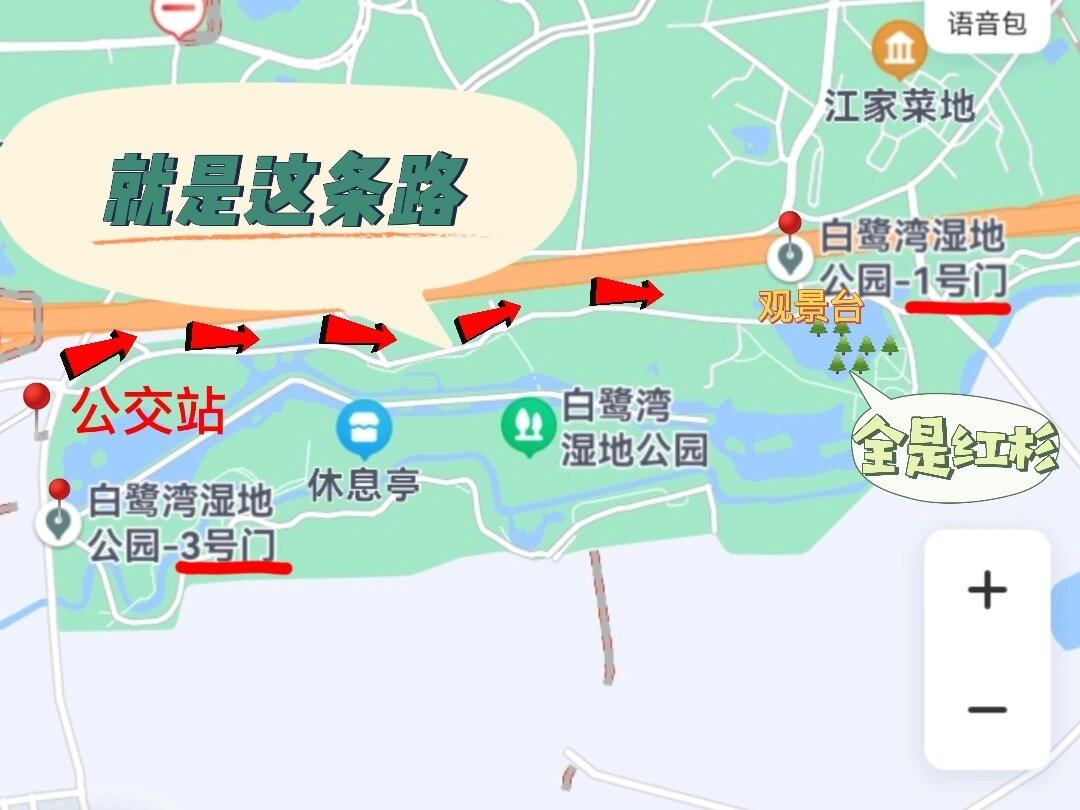 湿地公园路线图怎么画图片