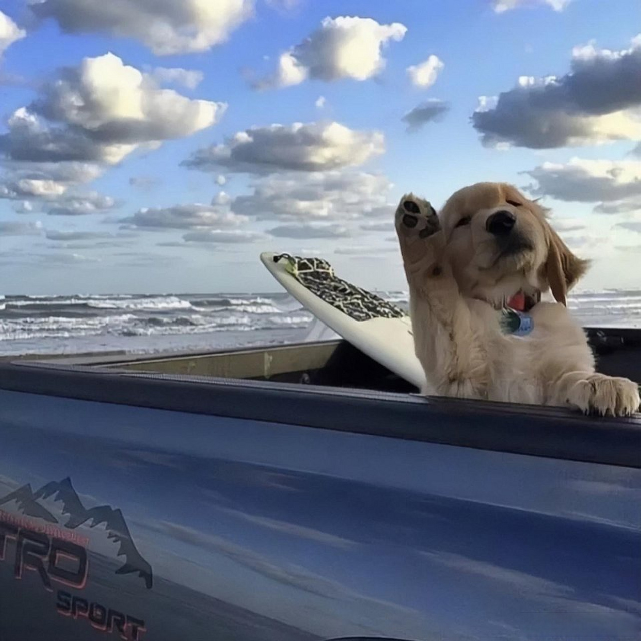 nwu分享#  一些个朋友圈背景图  viap图调色