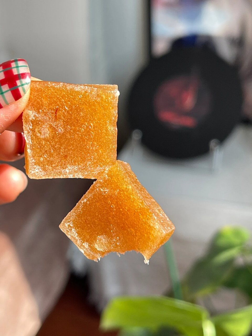 过年我买了好多地方特产当年货,这个浦城酸枣糕就是让我惊艳的其中之