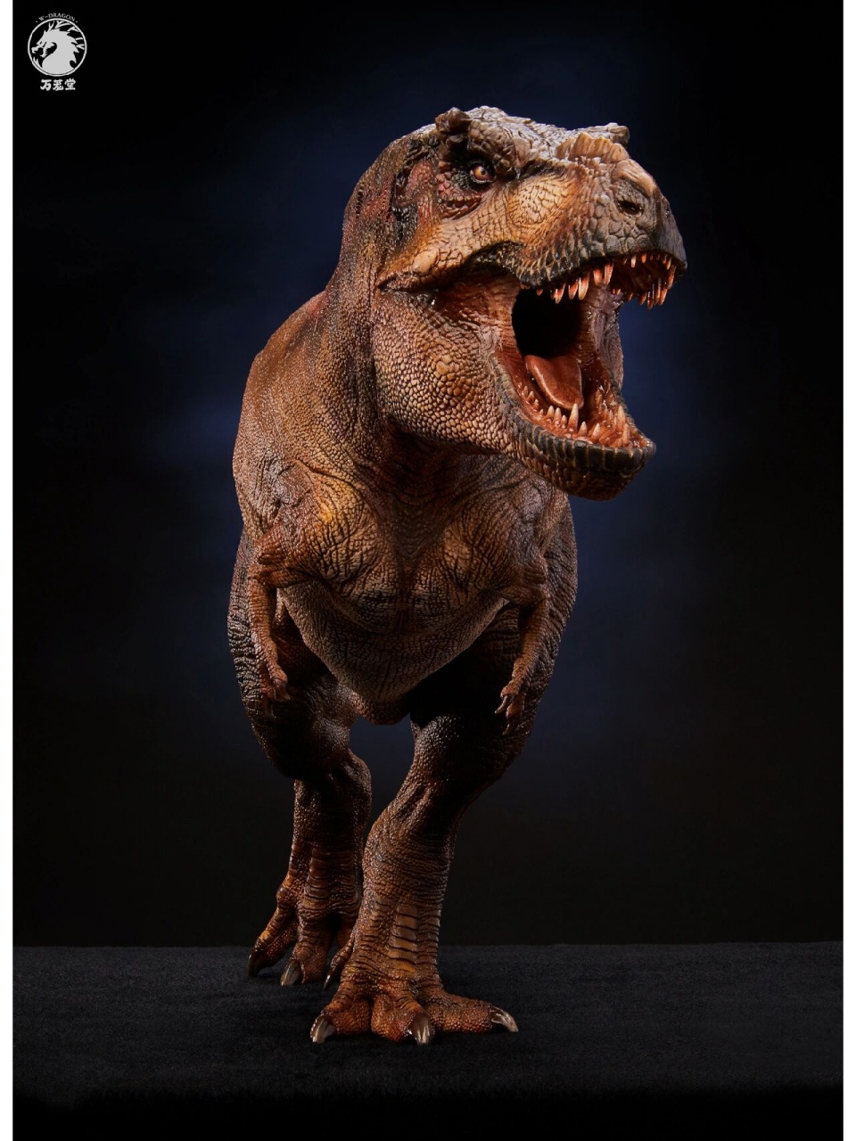 万茏堂科学复原霸王龙| 本人作品 本人拍摄万茏堂的新产品,设计师结合