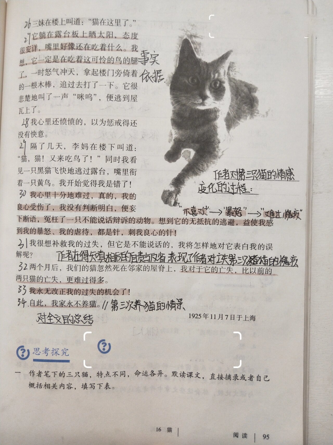 七上语文丨16课《猫》丨课堂笔记 七年级上册语文第16课《猫》自主