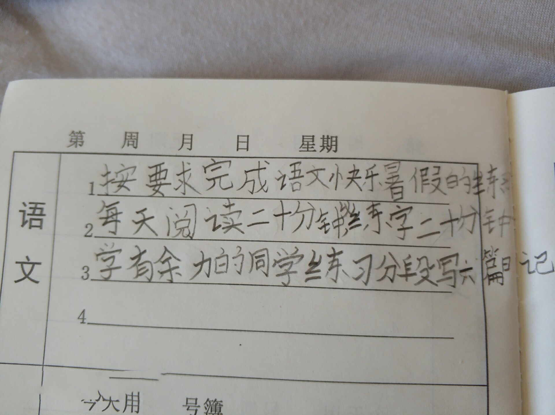 在校表现50字
