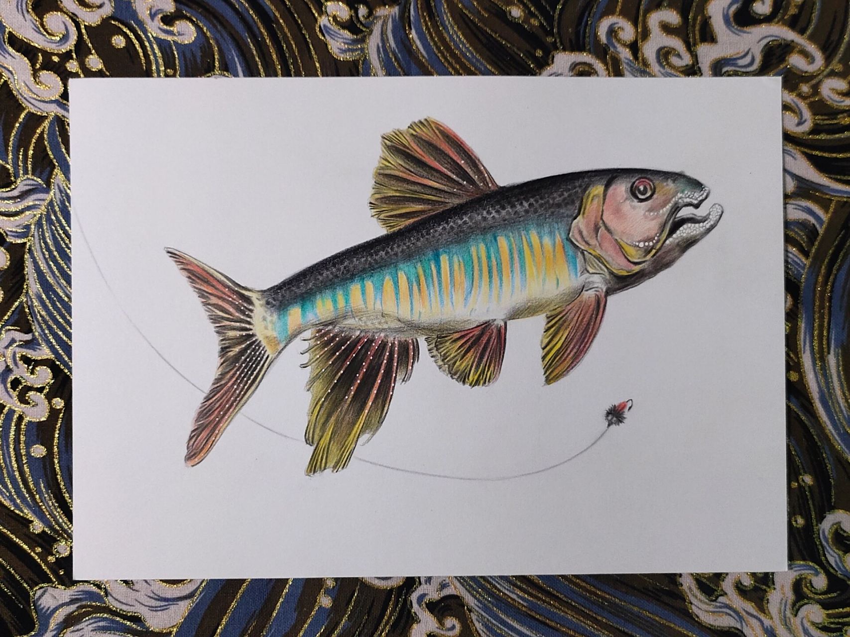 (附步骤)手绘溪流微物路亚目标鱼1:马口 用时两小时左右,临摹有调整