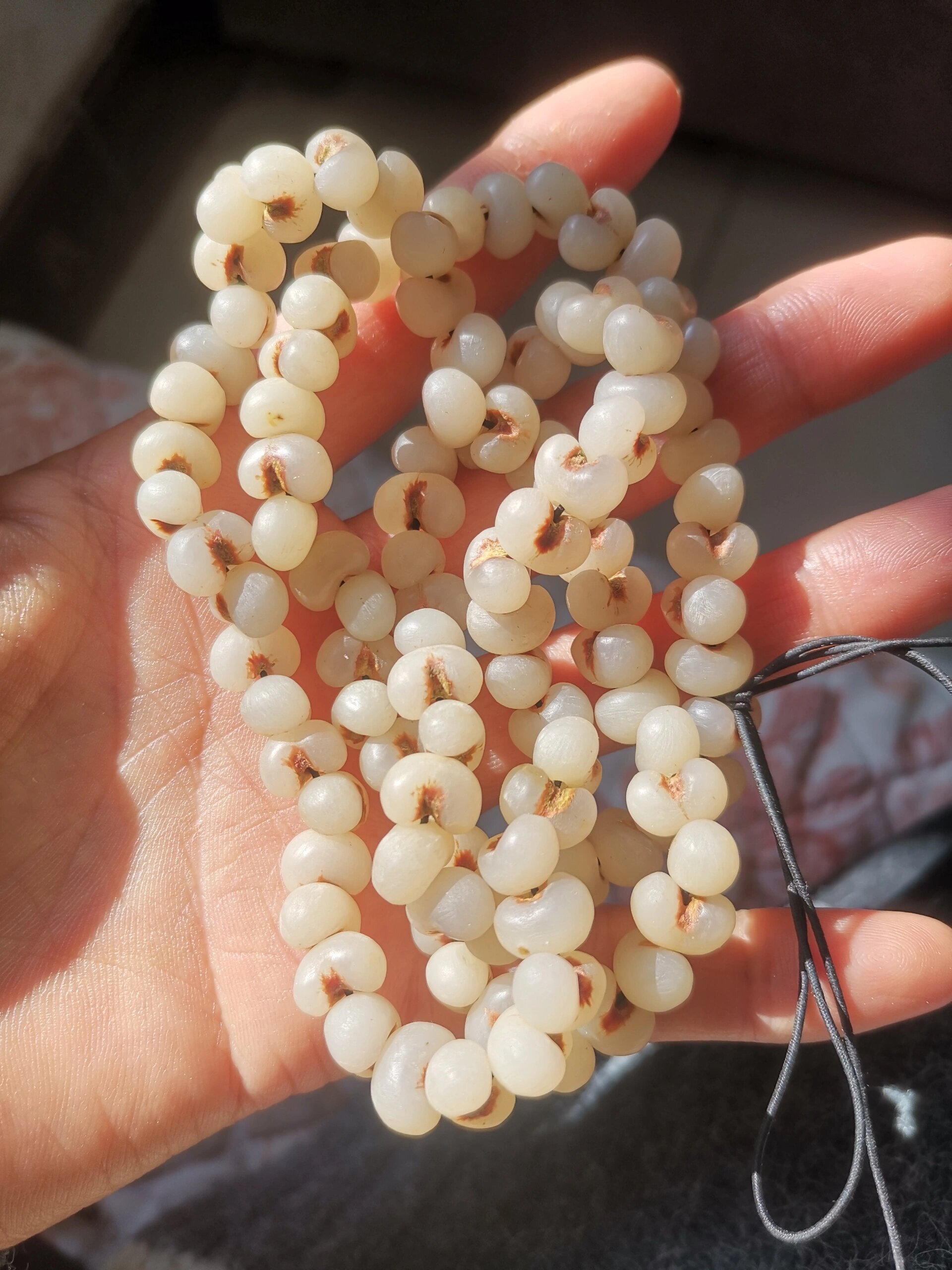 绿化带文玩,棕榈树种子手串,终于知道怎么拥有又白不