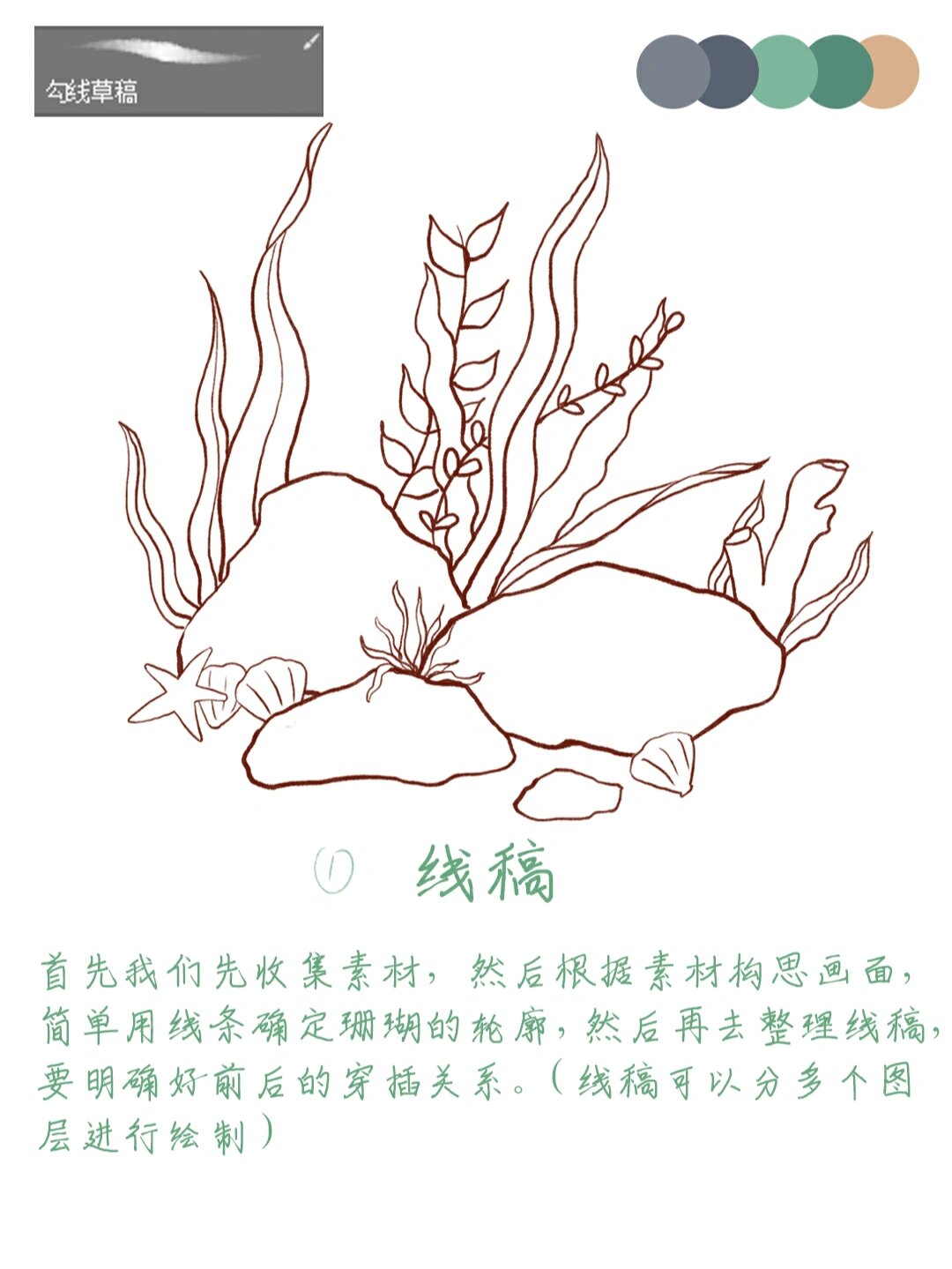 绘画教程|教你简单学会画海草91