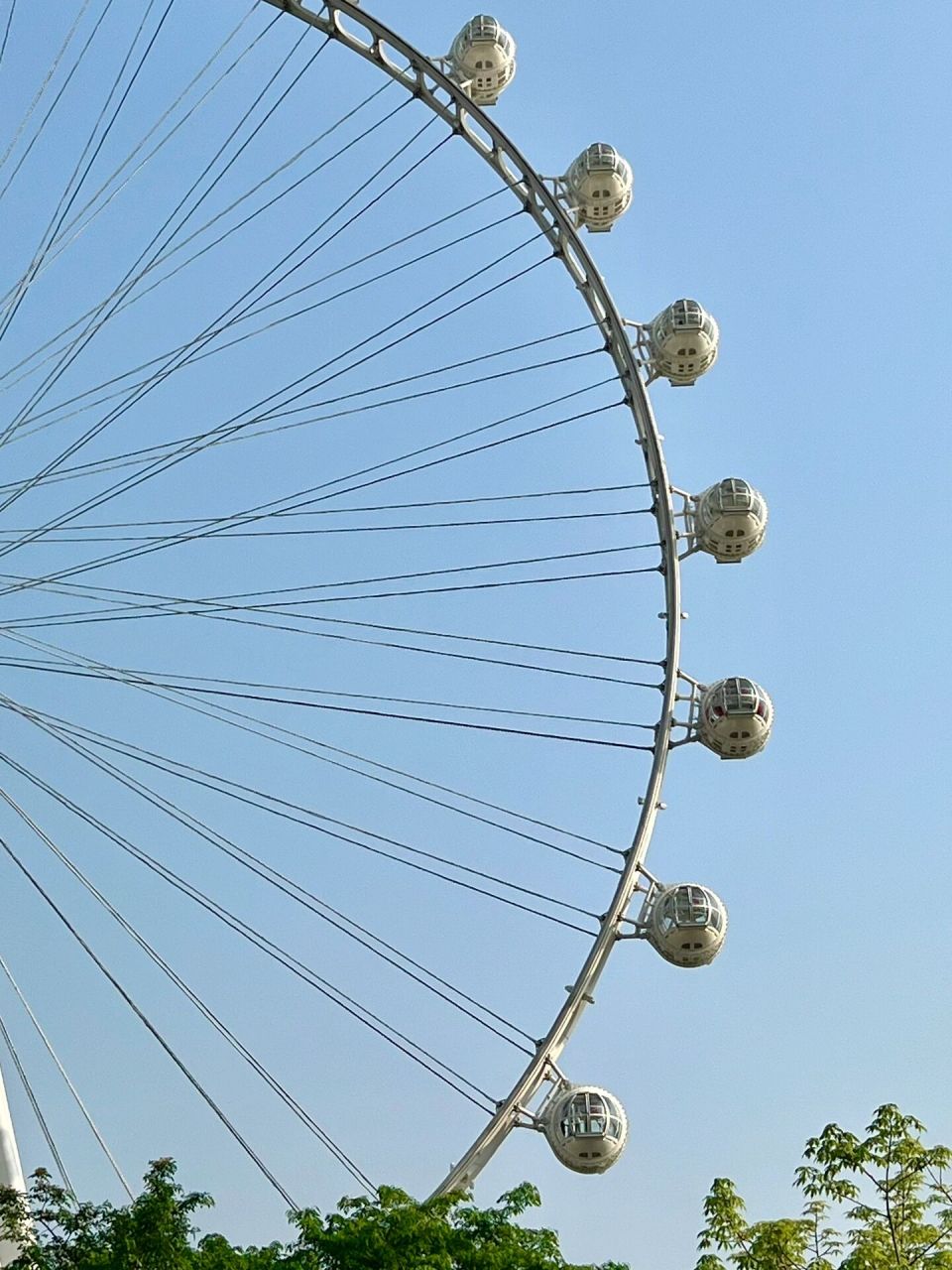 99欢乐港湾 有点喜欢这个摩天轮99 地铁到临海出来小走几步就到啦