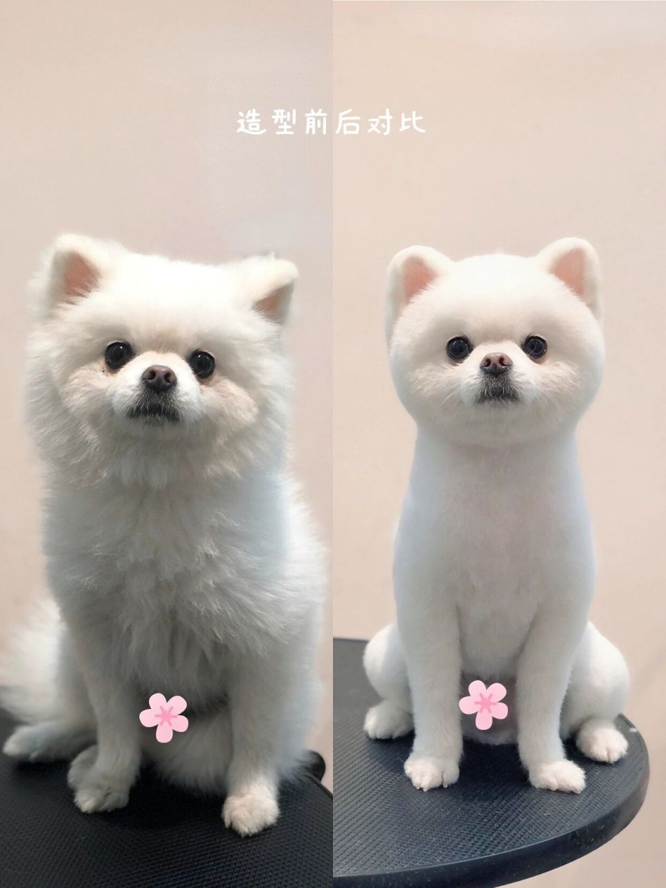 博美俊介造型|拿给托尼照着剪想翻07都难!