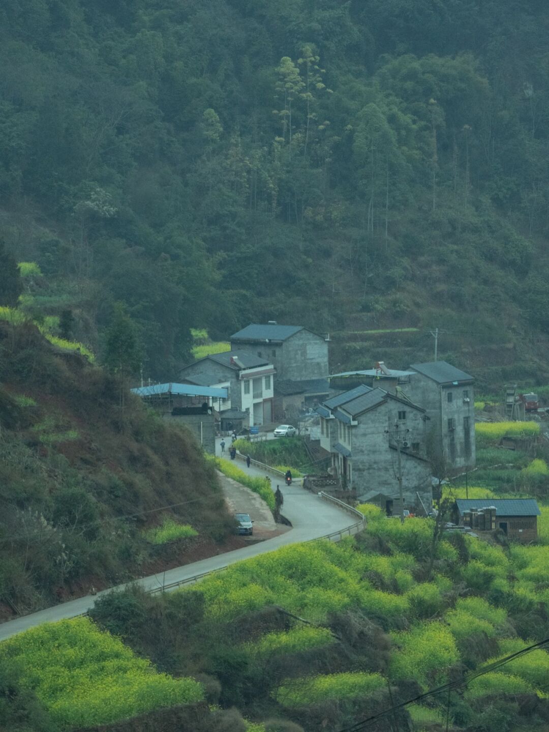 屏山房源市场解读与展望