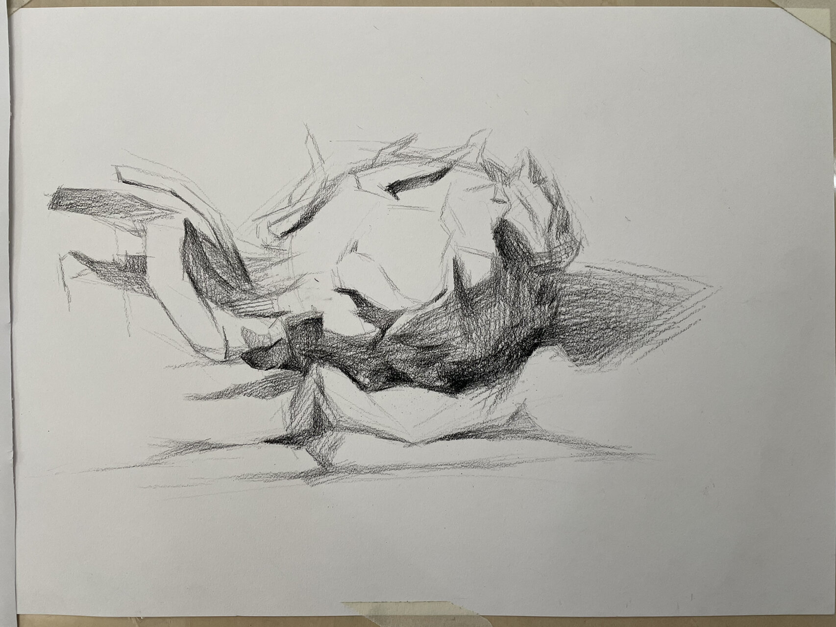 素描火龙果超细作画步骤