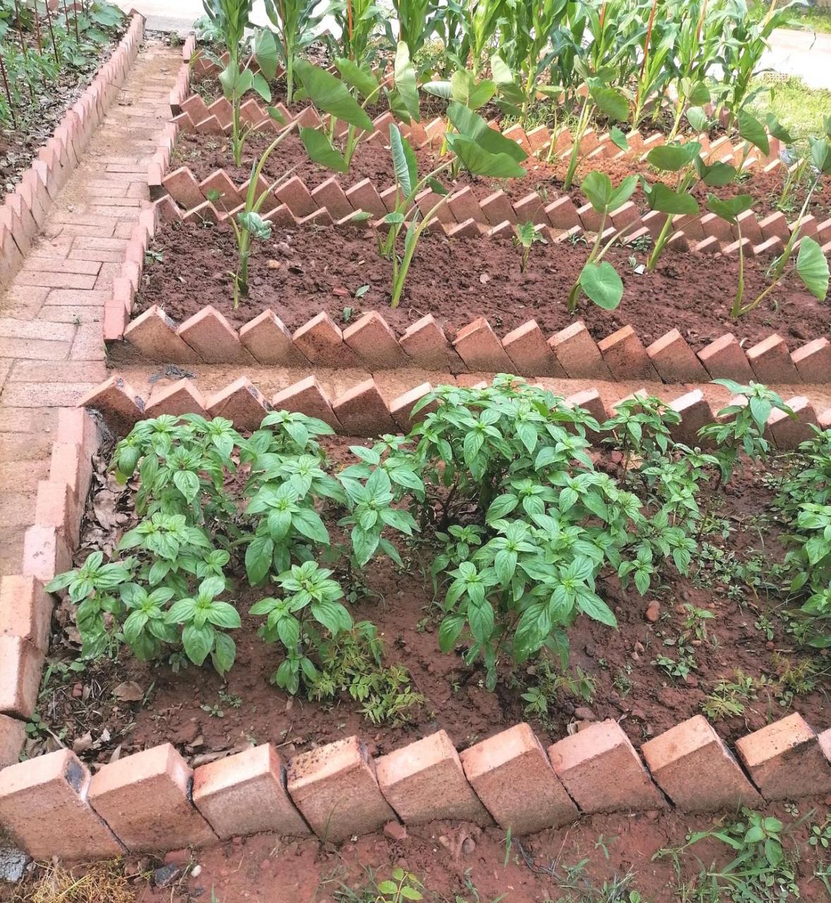 红砖砌菜菜园子图片