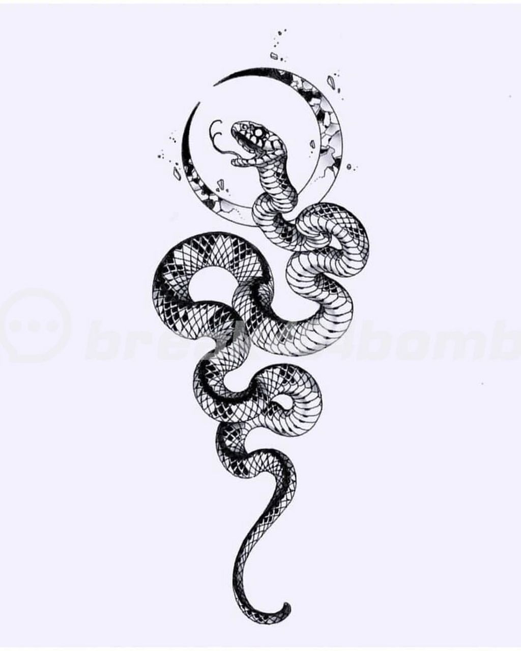 蛇盘玫瑰花纹身寓意图片