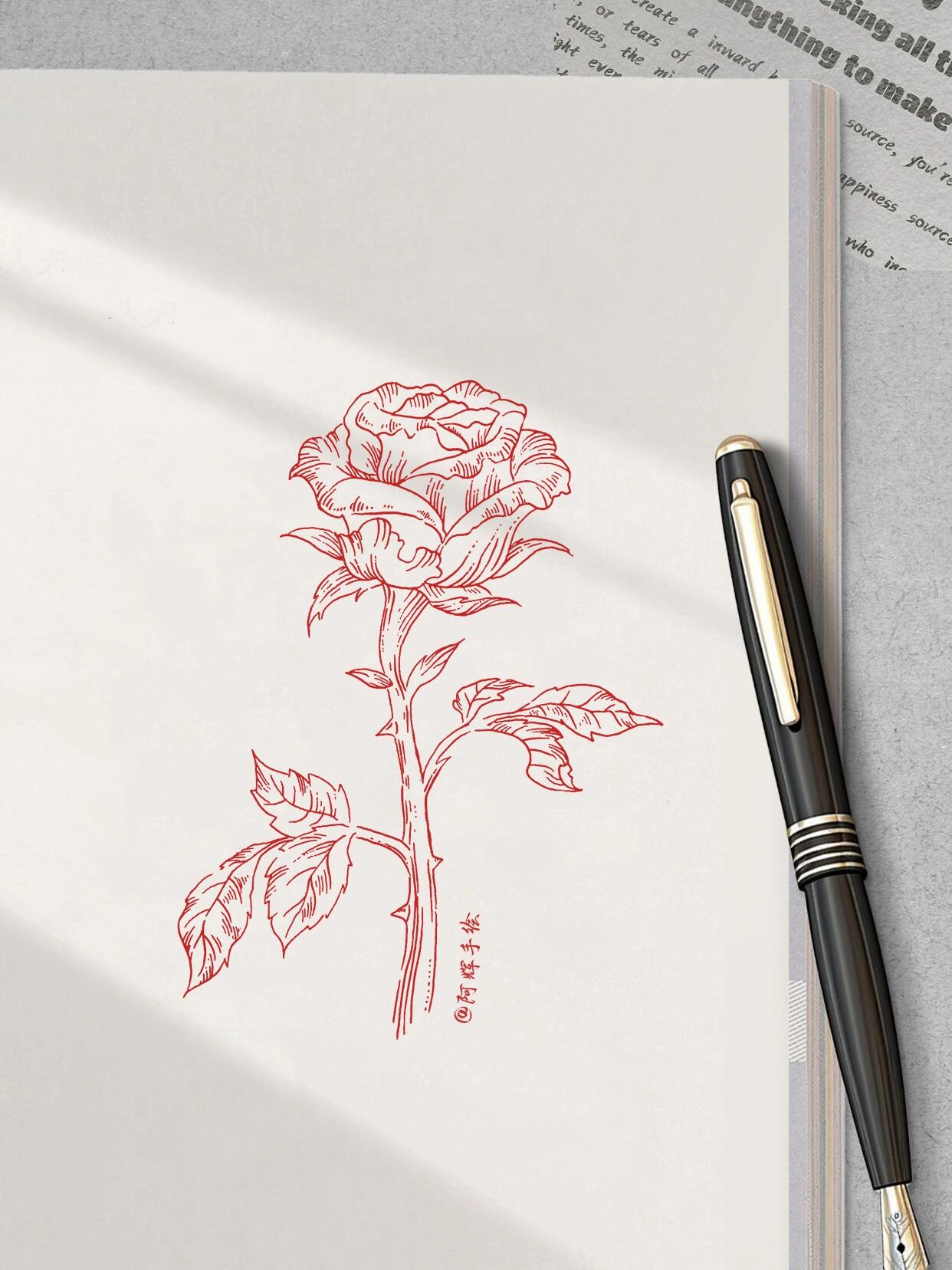 钢笔画玫瑰🌹