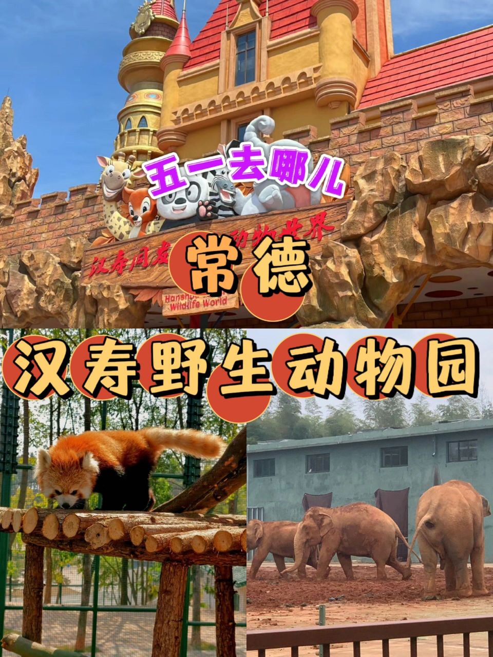 五一去哪儿-常德汉寿野生动物园走起来 99五一小长假马上来了,还没