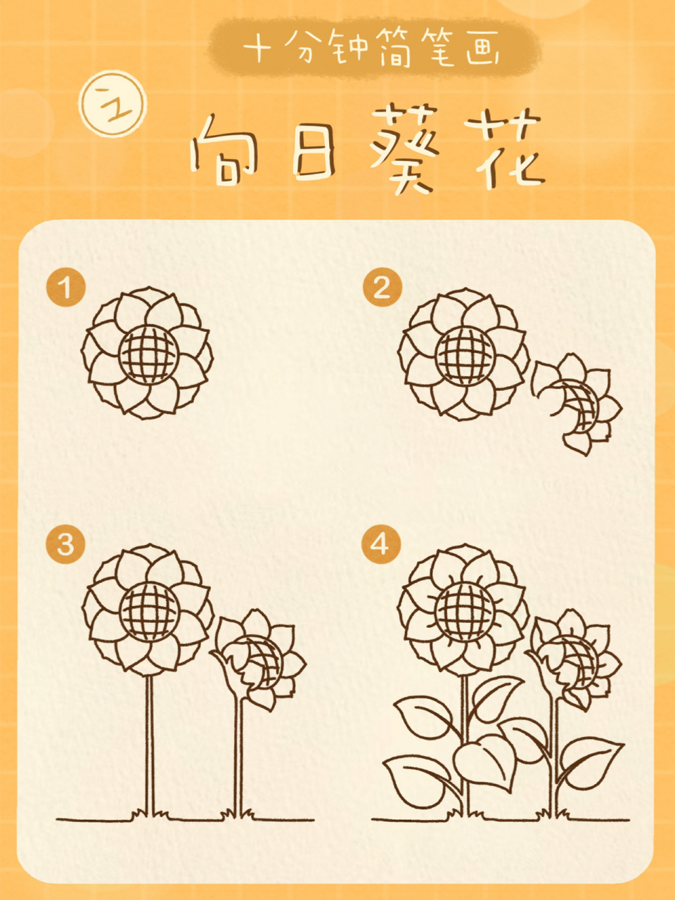 day37 / 10分钟简笔画之向日葵花97 今天来画好看的向日葵97 第一