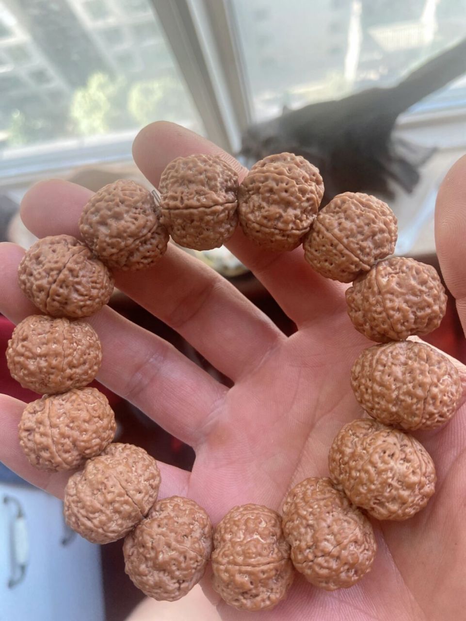 菠萝蜜# #手串# #金刚菩提