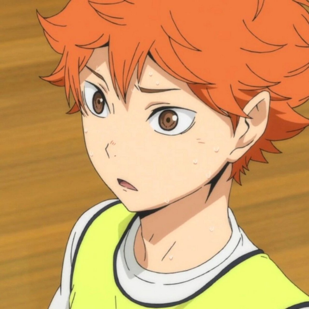 《排球少年》日向翔阳 头像合集 小太阳来啦!