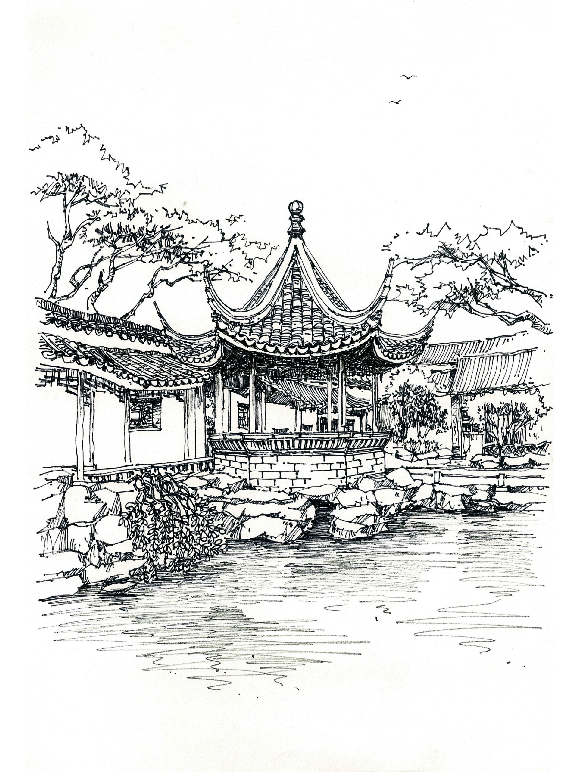 风景速写【21】苏州园林(网师园)