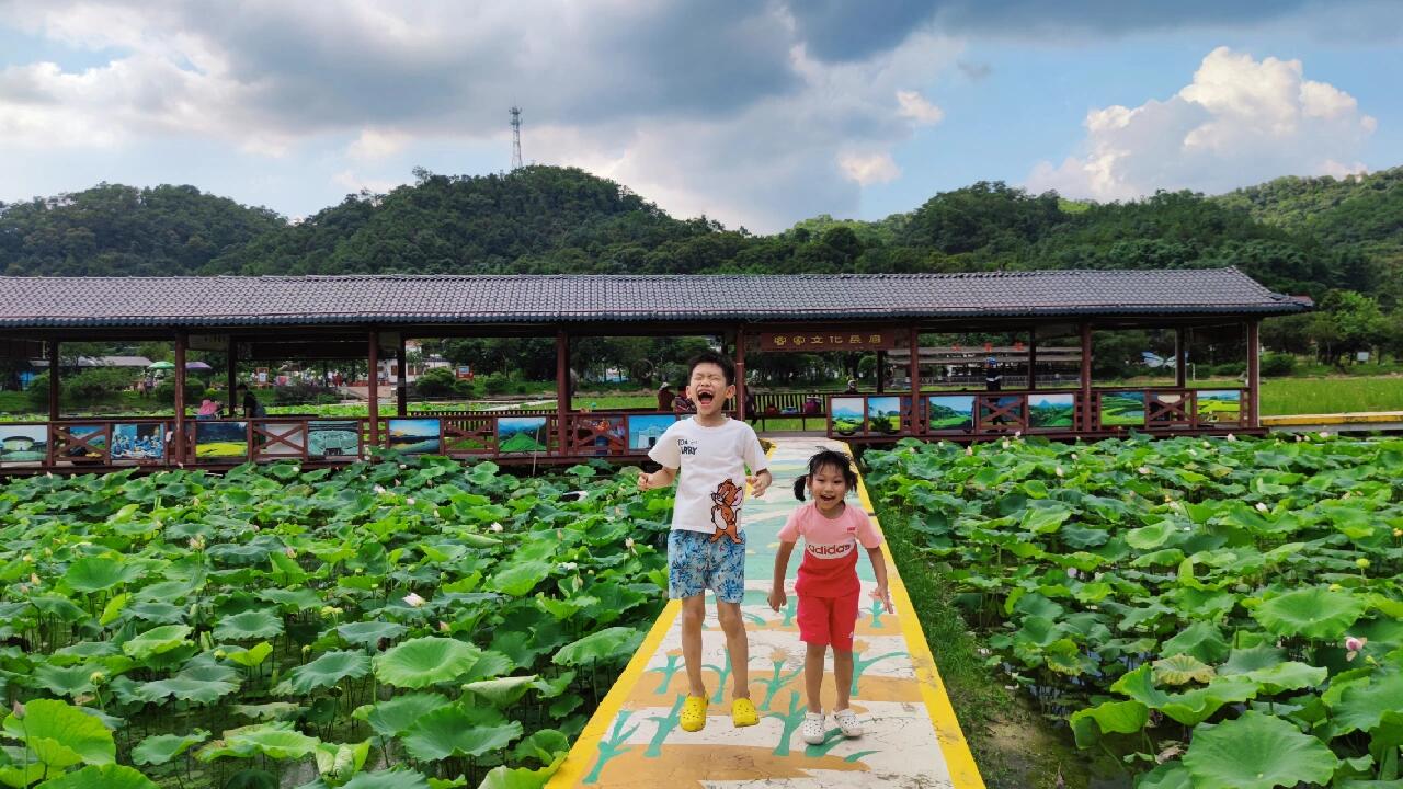 周末好去处:广州市花都红山村(花田小镇)