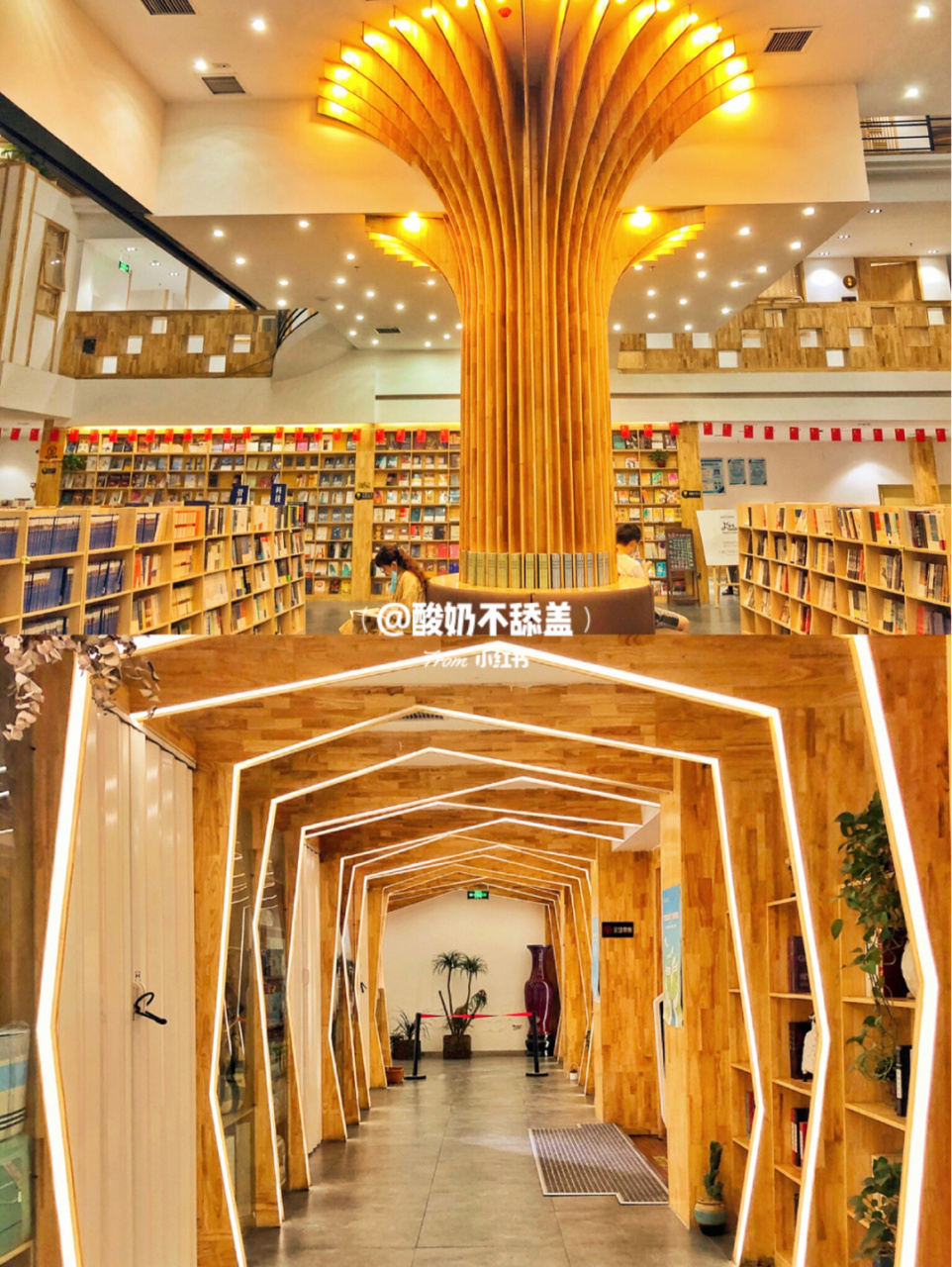 97郑州可以吃饭6015的网红书店 | 梁实书店 96郑州可以吃饭的