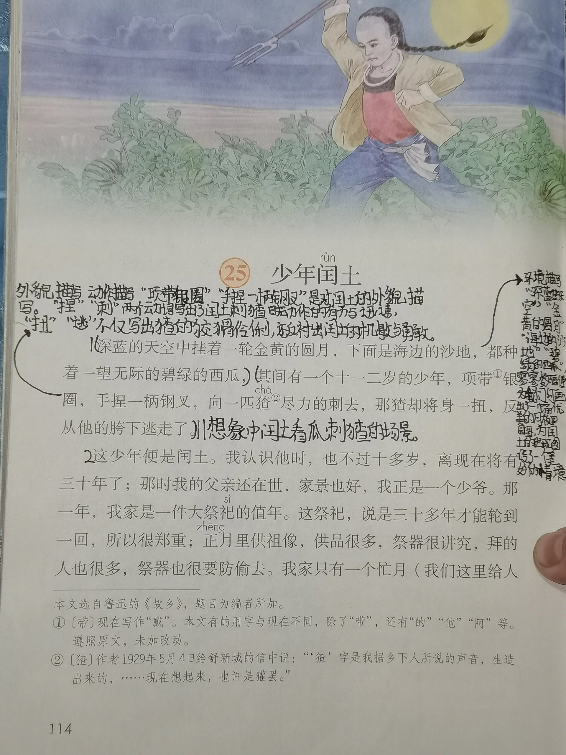 《少年闰土》课堂笔记图片