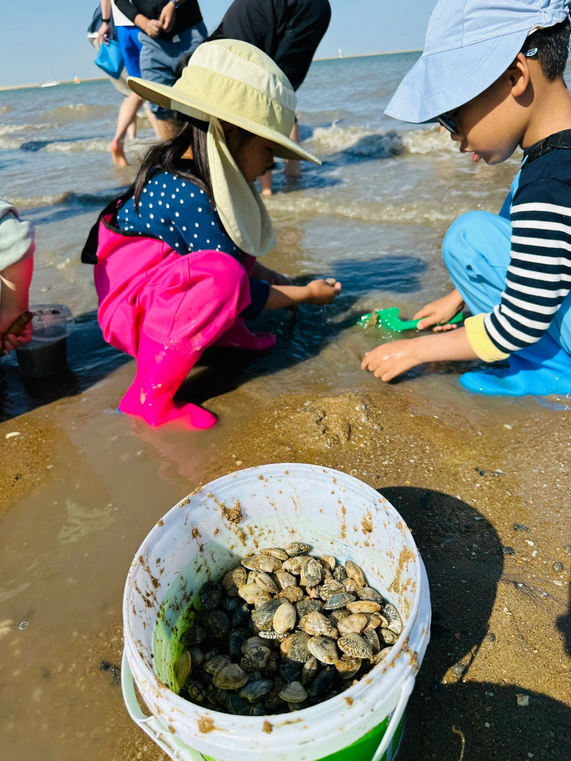 东疆湾赶海图片