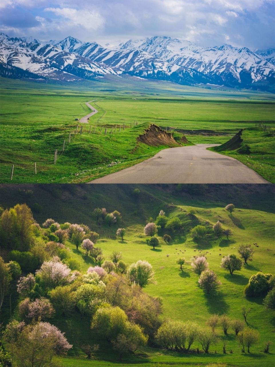 国内最值得去的十大草原60夏季自驾草原攻略 -喀拉峻 99位于新疆