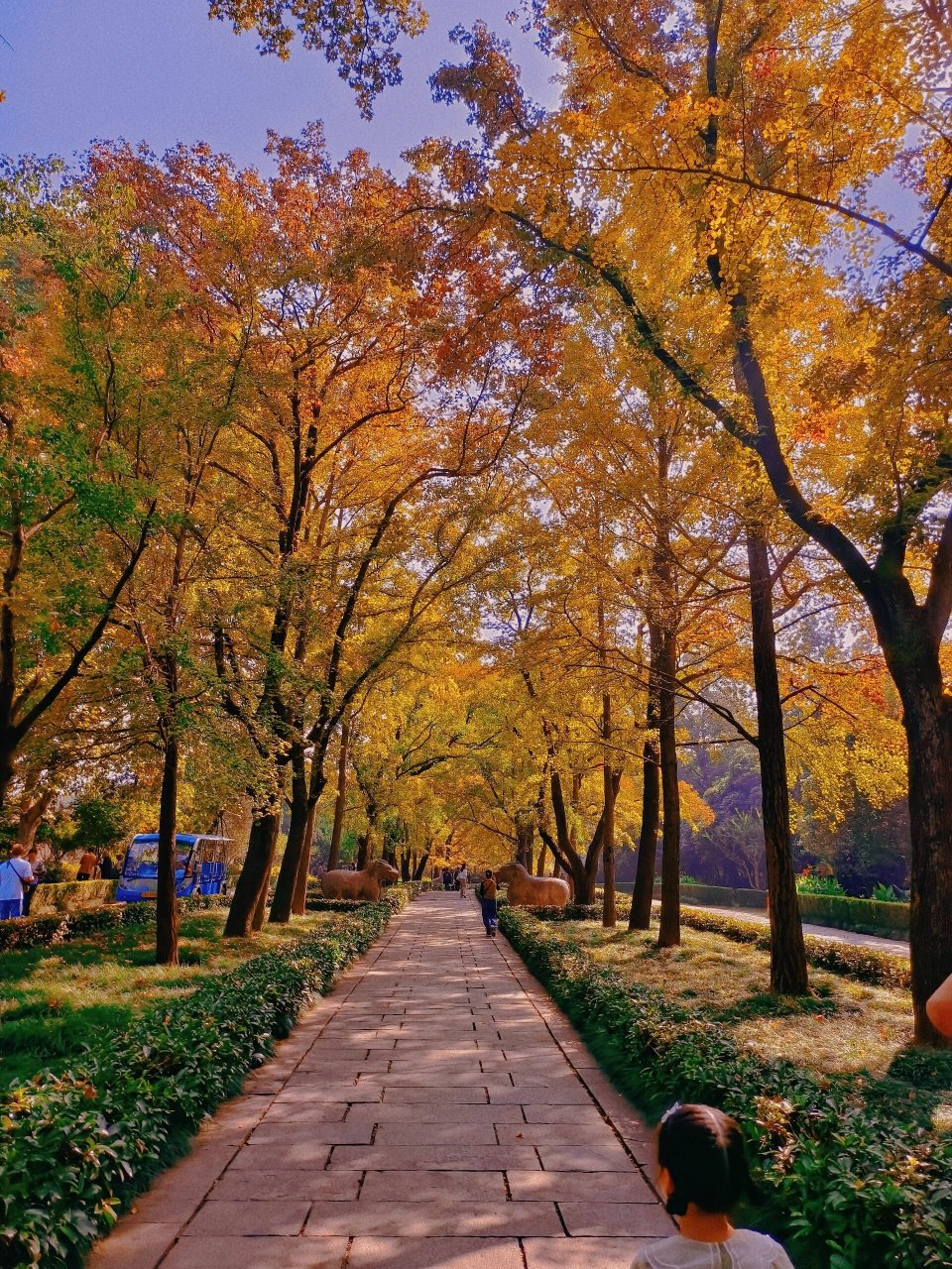 南京中山公园图片图片