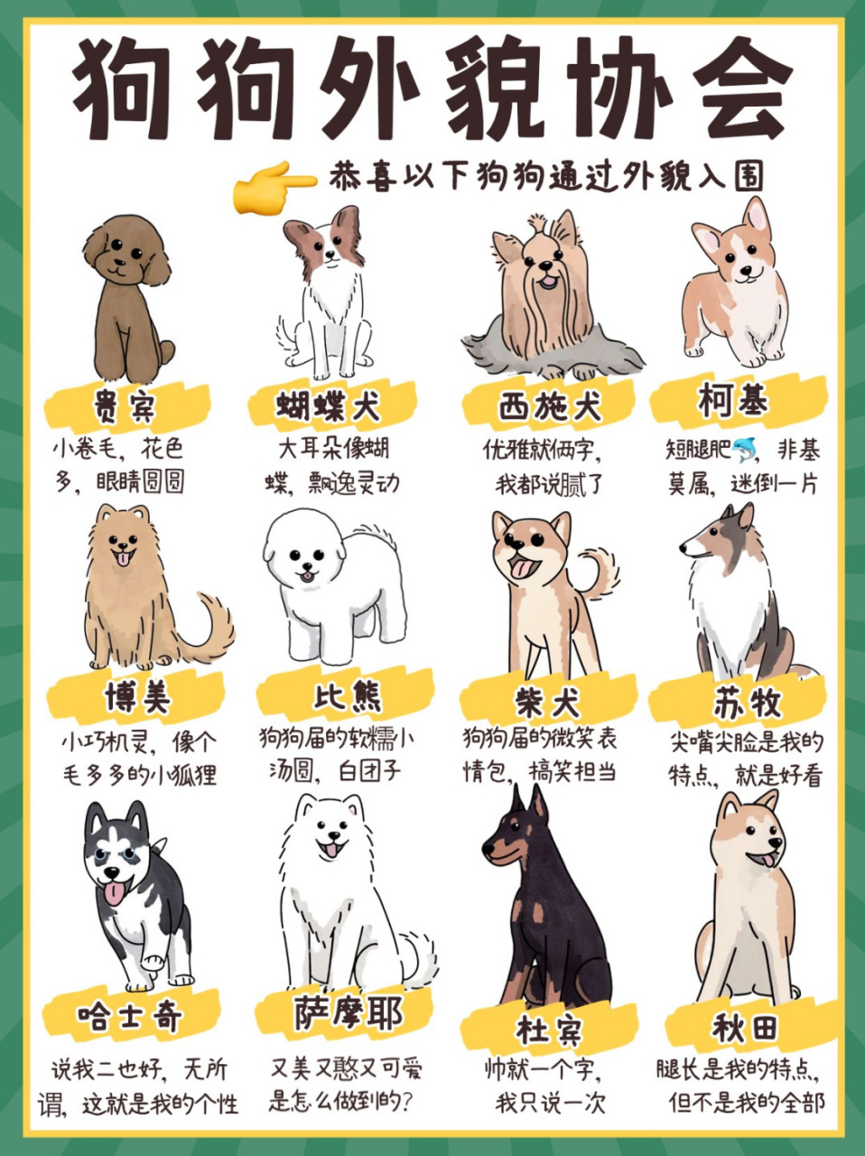 狗狗也有外貌协会09一个比一个长得的好看97 狗狗们都是小可爱