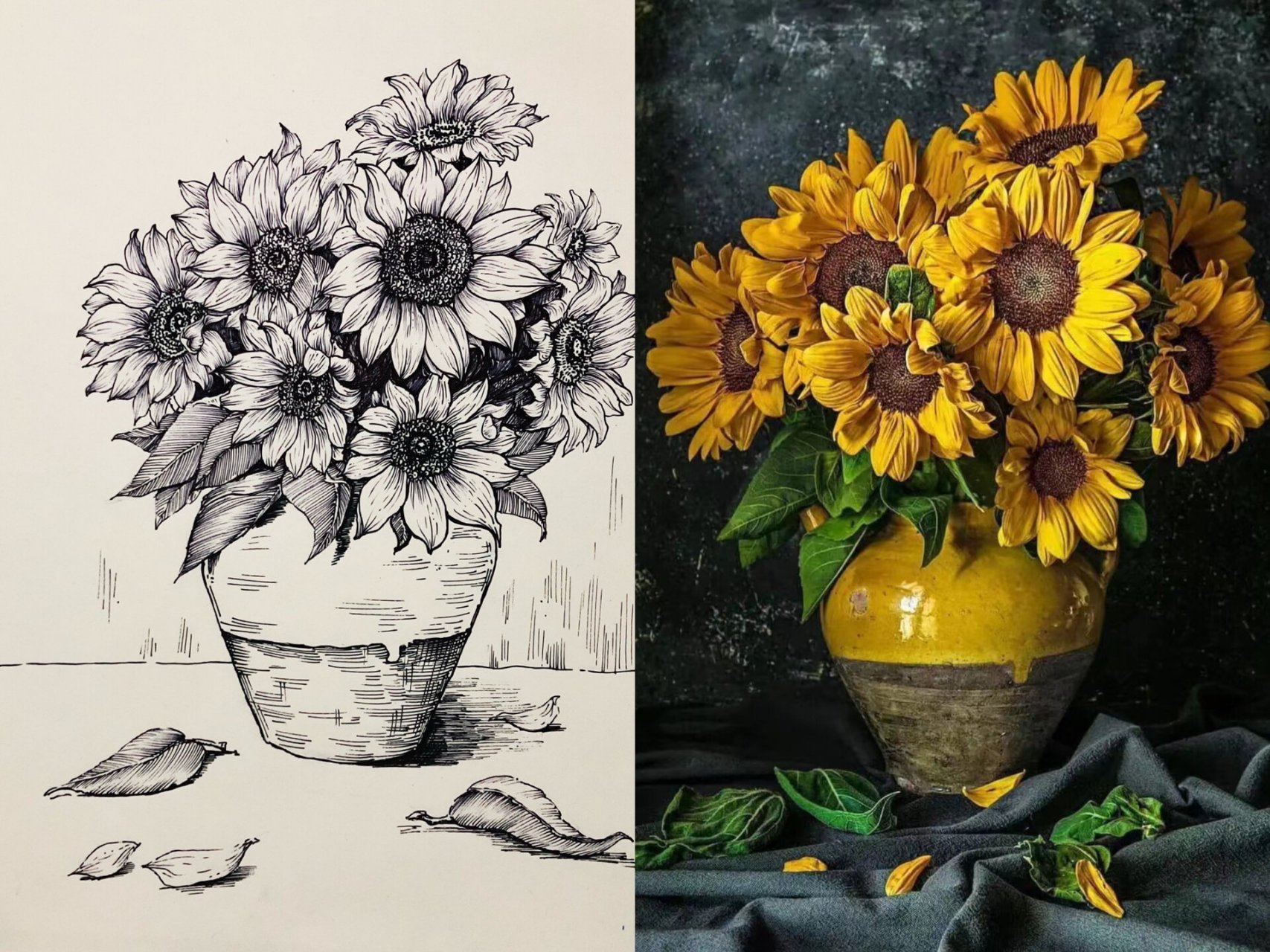 向日葵|线描花卉写生 附实物图 向日葵始终绕着太阳转动,不管太阳去哪